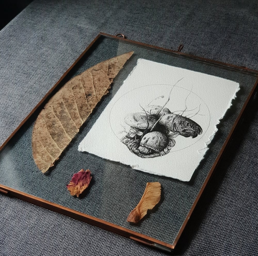Image of Original Botanical Illustration, in Nkuku Brass Frame