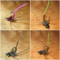 Image 2 of Corya’s Carpin’ Bug 
