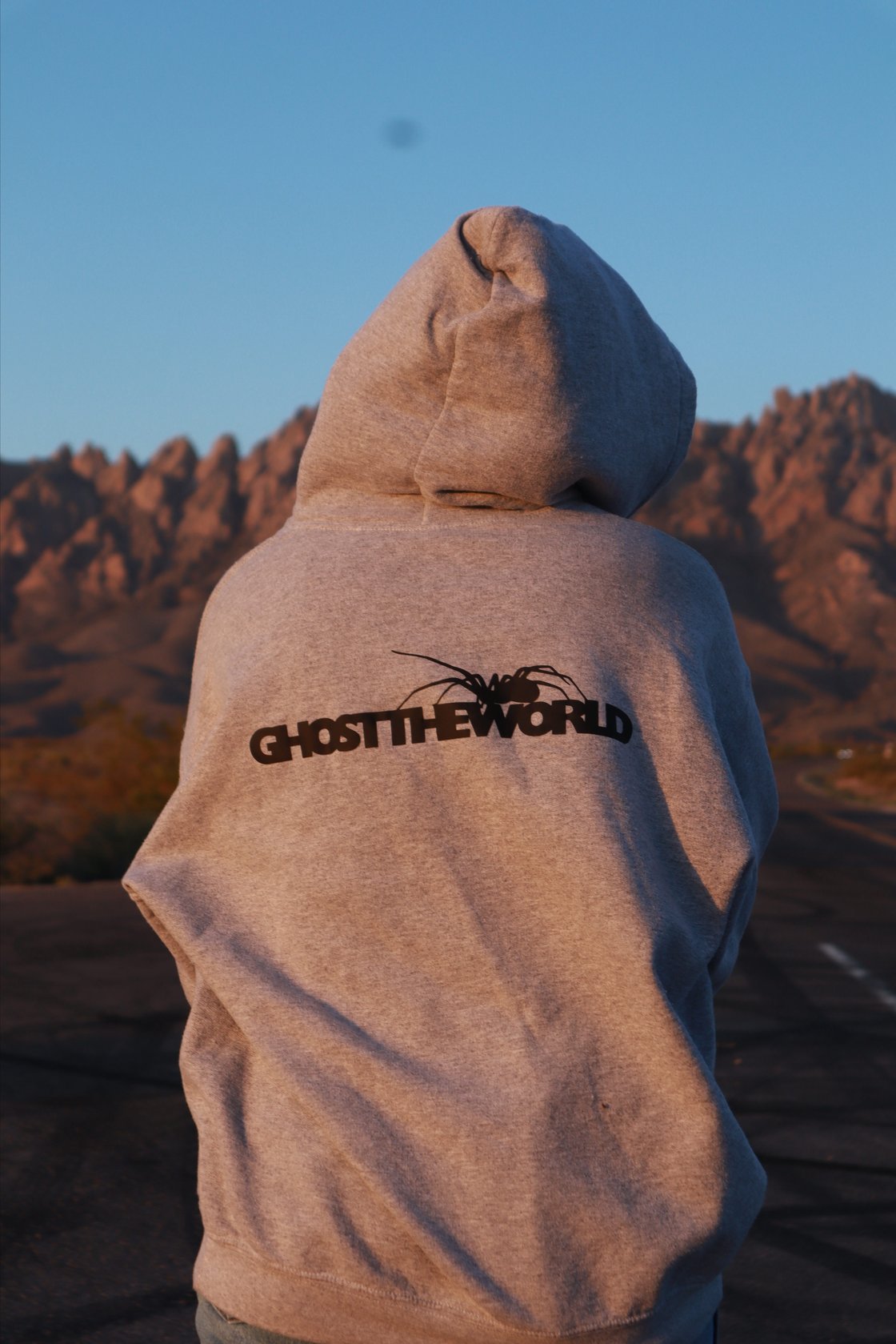 Image of GTW Spider Hoodie 