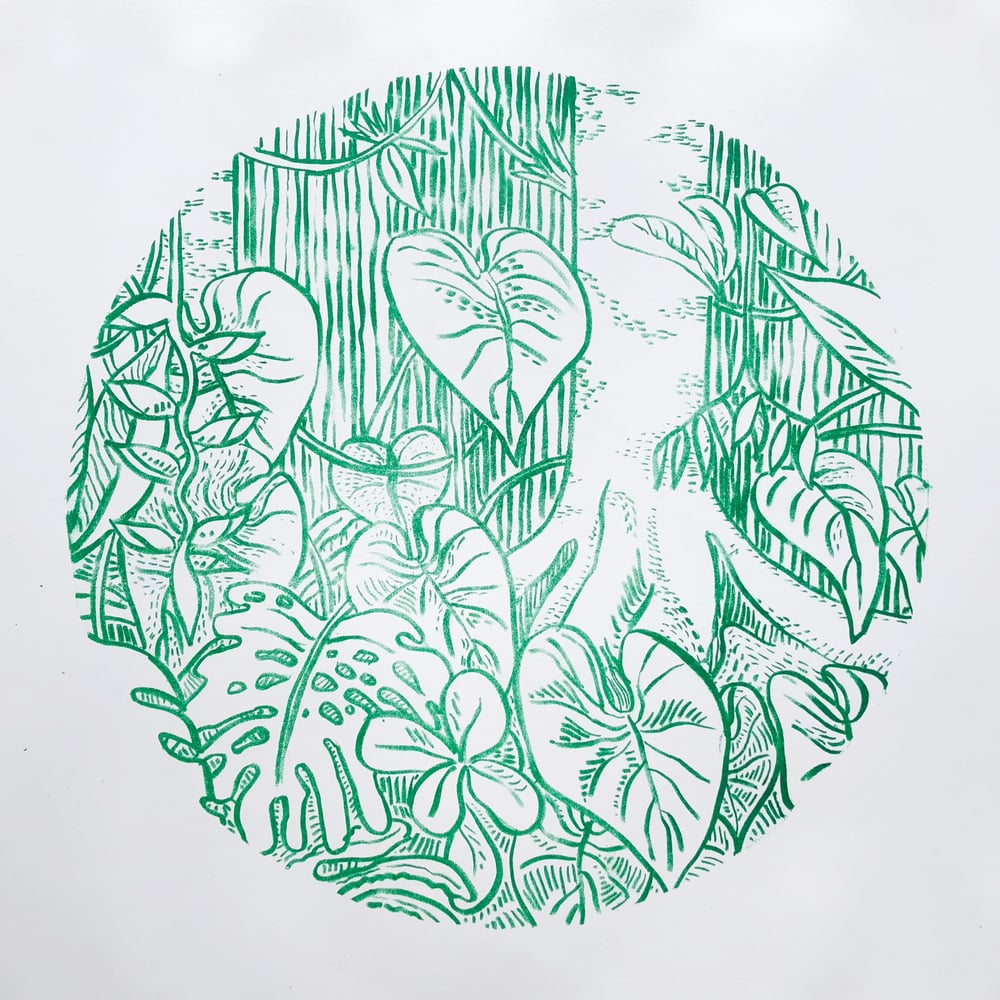 Image of Amazon Rain Forest