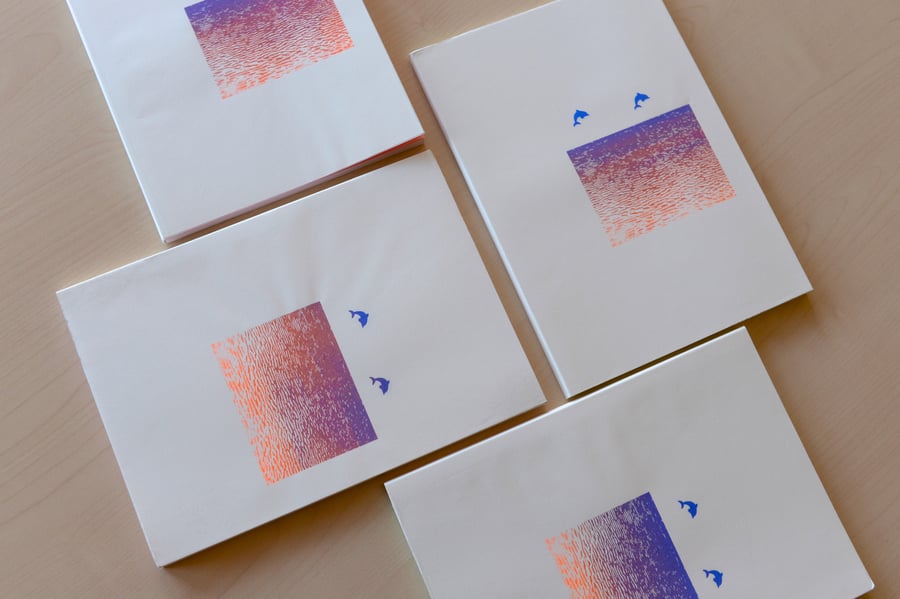 Image of TRANSPRAIA (ACROSS THE BEACH)