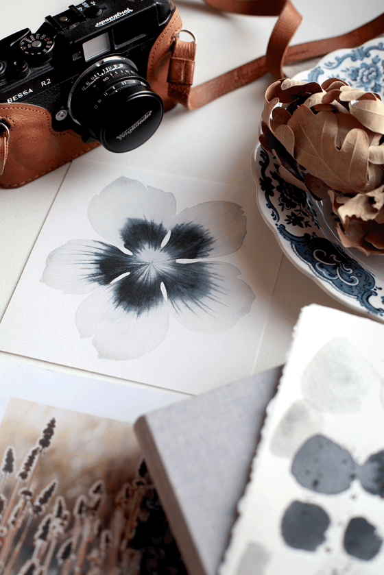 Image of Flower portrait mini print, package of 3