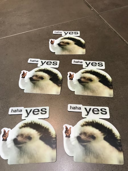 Image of haha Yes cut - 5 pack