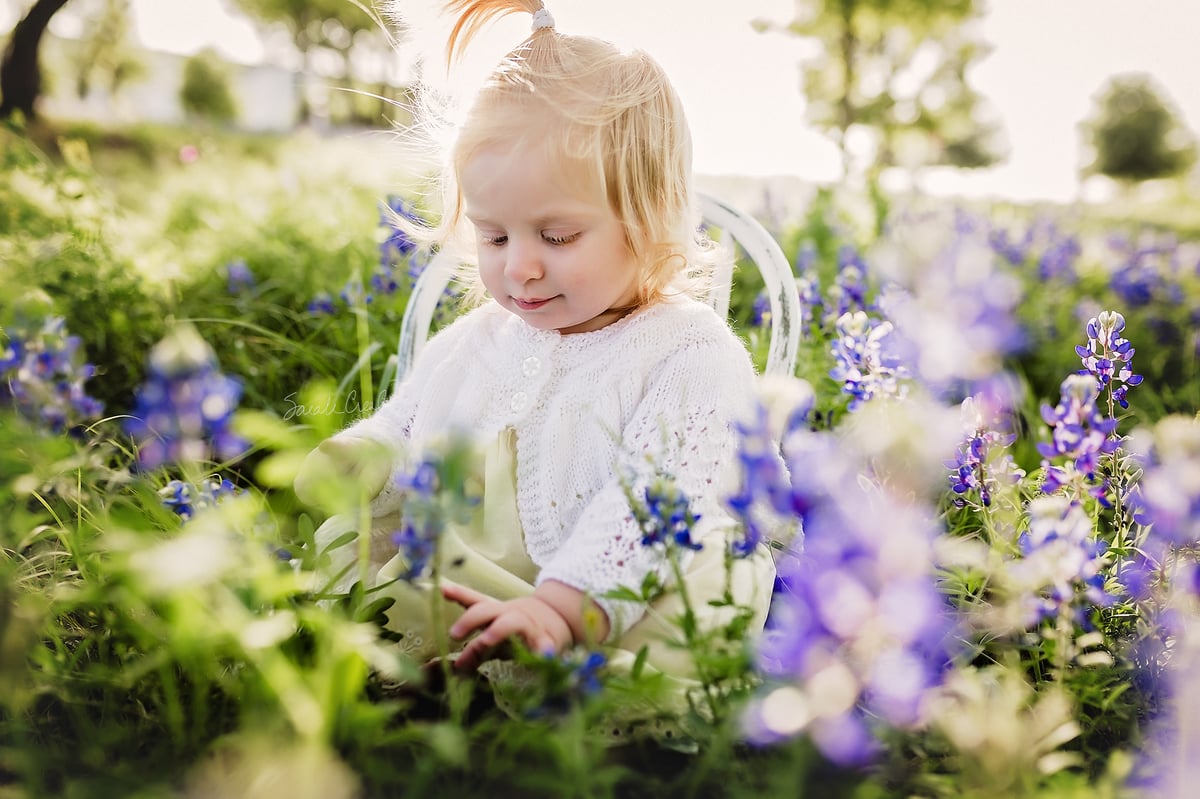 Bluebonnet Family Mini Sessions Killeen