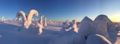 Image of Panoramafoto (Finnisch Lappland)  auf Alu Dibond, kaschiert, 60 cm x 20 cm