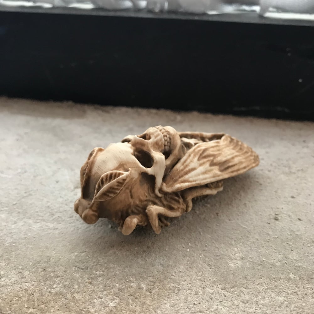 Image of Death’s Head Moth Figure