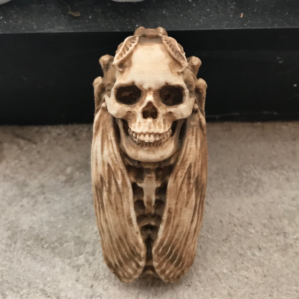 Image of Death’s Head Moth Figure
