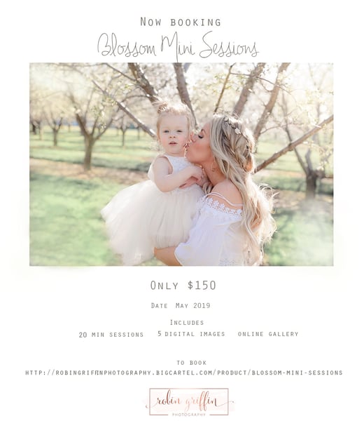 Image of Blossom Mini Sessions