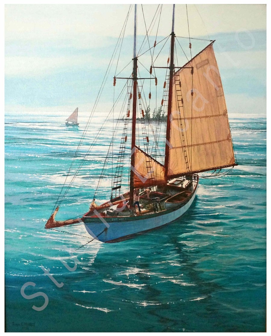 Image of Turtle Schooner at Anchor by Captain Roger C. Horton