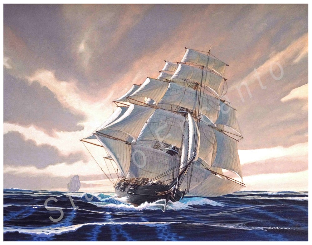 Image of Bird of Dawn by Captain Roger C. Horton