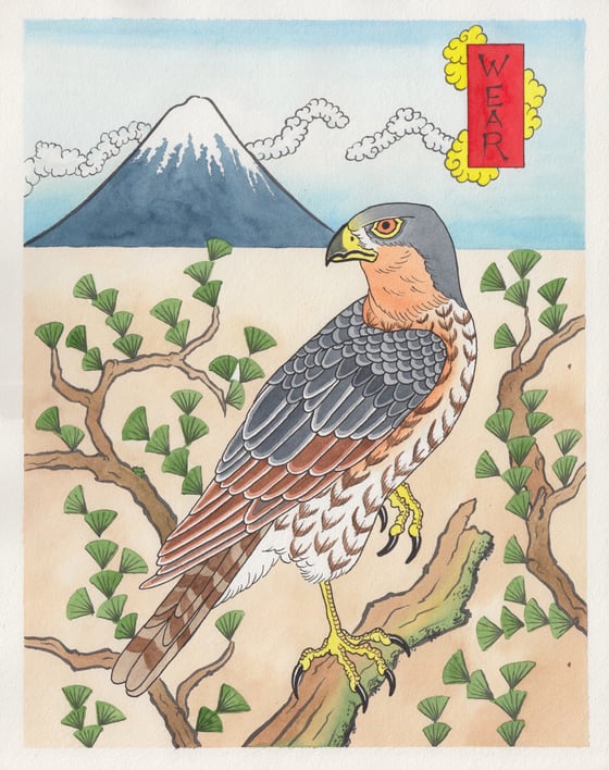 Image of Blue Falcon