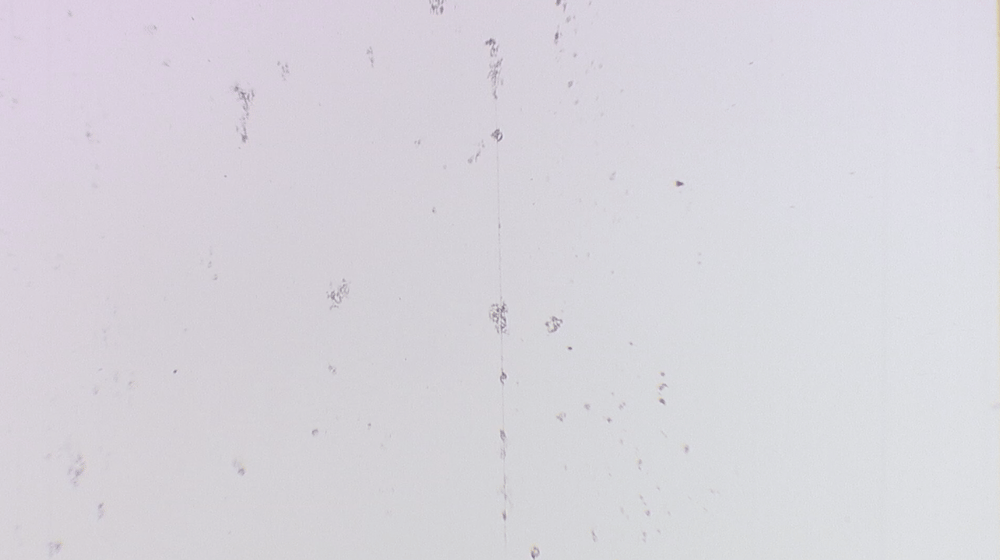 Image of FILM SCRATCHES