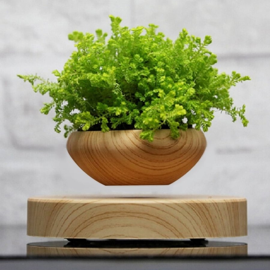 Image of POT DE FLEURS EN LEVITATION
