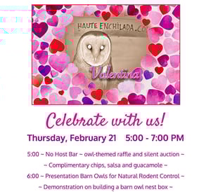 Image of Teco & Valentina Celebration - Owls in Schools