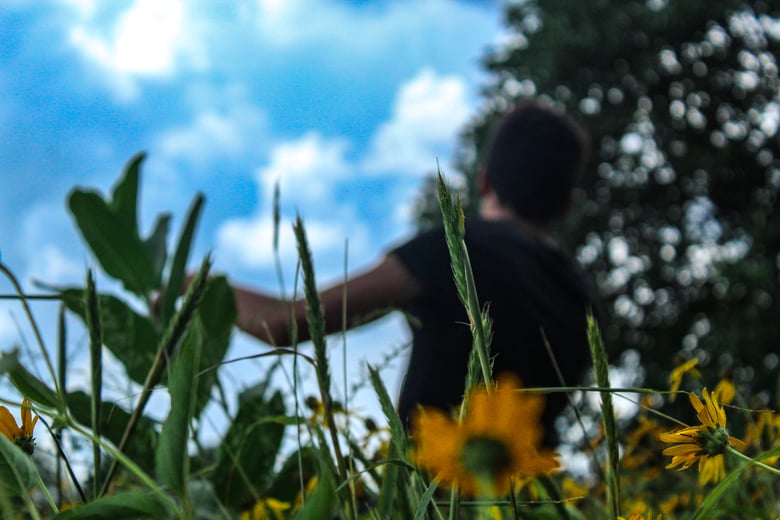 Image of bask in the ambience 