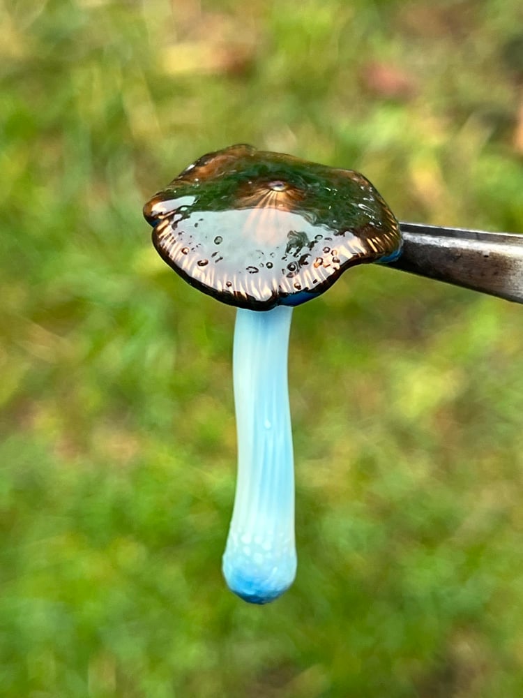 Image of Wavy Blue Staining Mushroom Pendant