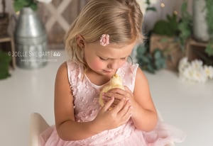 Image of Spring Mini Session - Saturday March 30, 2019