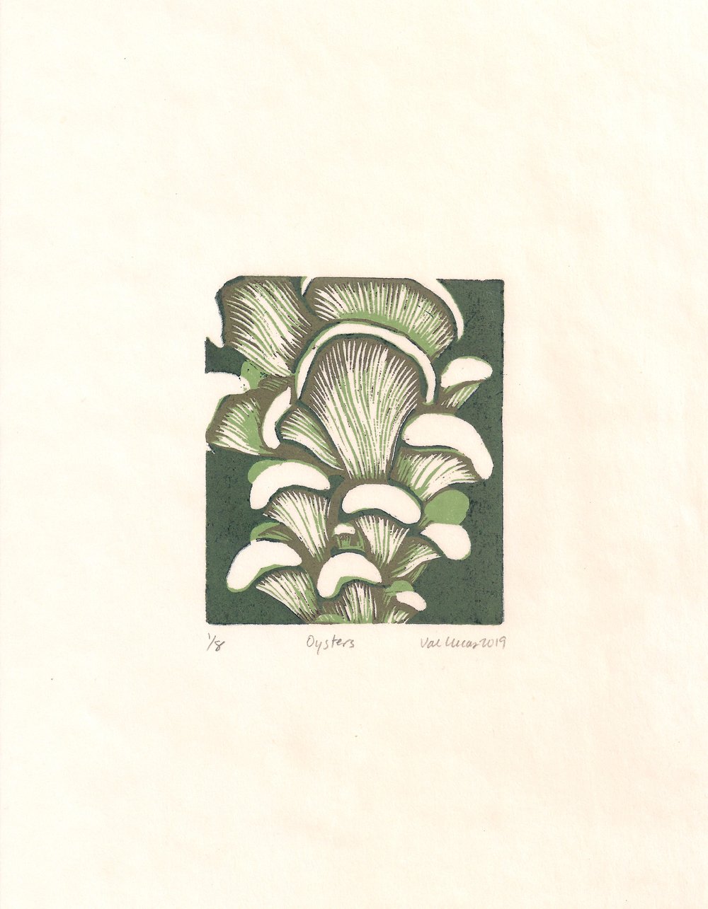Image of Oyster Mushrooms Print
