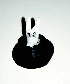 Image of Rabbit in Hat Puppet