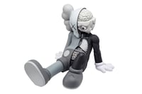 Kaws Resting Dissected Companiom