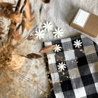 Image 1 of JOLIES PÂQUERETTES