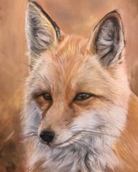 Red fox print 
