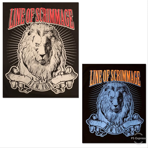 Image of “Lion” - $10 SALE (limited sizes/colors)