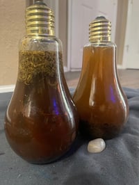 Image 6 of StRange FloRida WateR