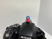 Image 3 of Painted Bunting Hotshoe Cover