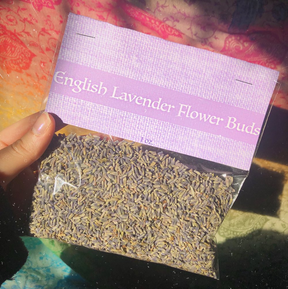 Image of English Lavender Flower Buds