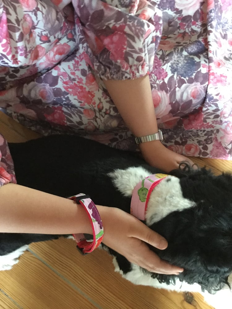 Image of Colliers de chien en tissu Prune Cirelli x Villa Atlantida