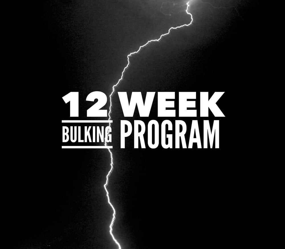 Image of 12 Week Bulking Program 