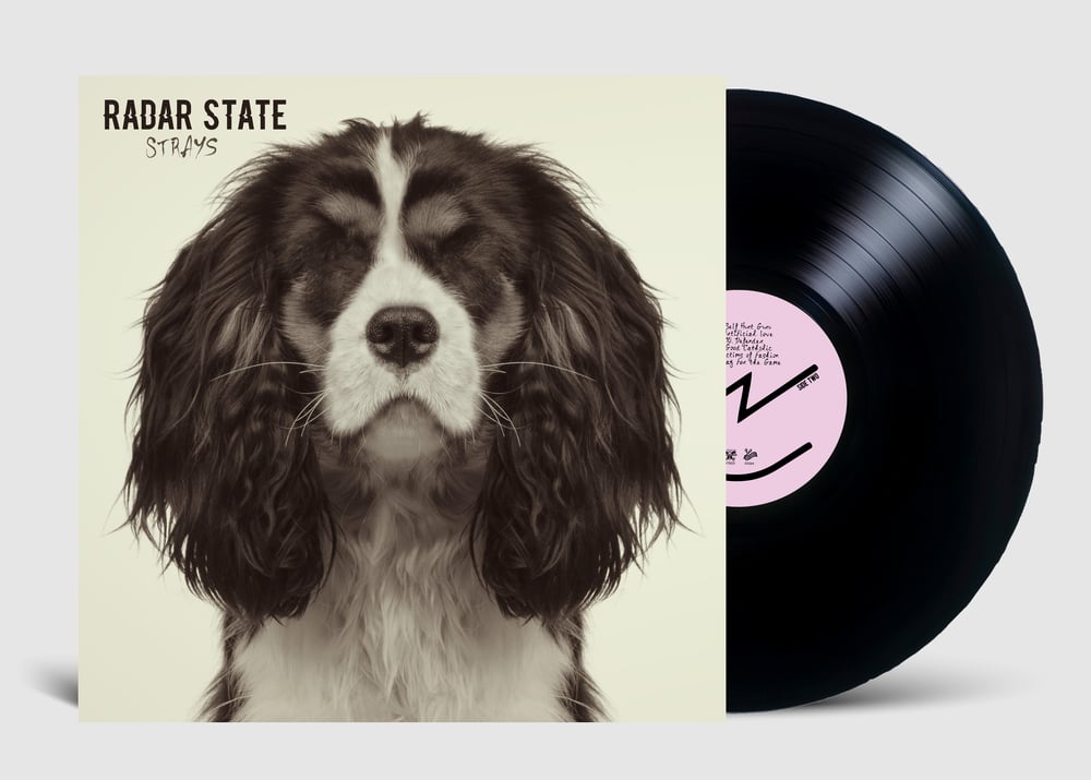 Radar State - Strays