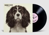 Image 5 of Radar State - Strays