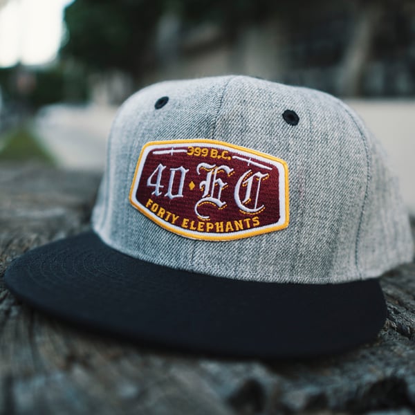Image of 40EC Snapback Heather Grey