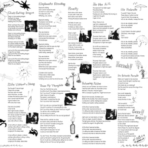 Image of HOGZ IN DANDYLAND "DR. GRIMM'S PARADE" LP