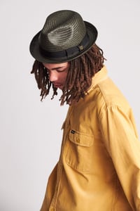 Image 2 of The Castor – Black/Gold