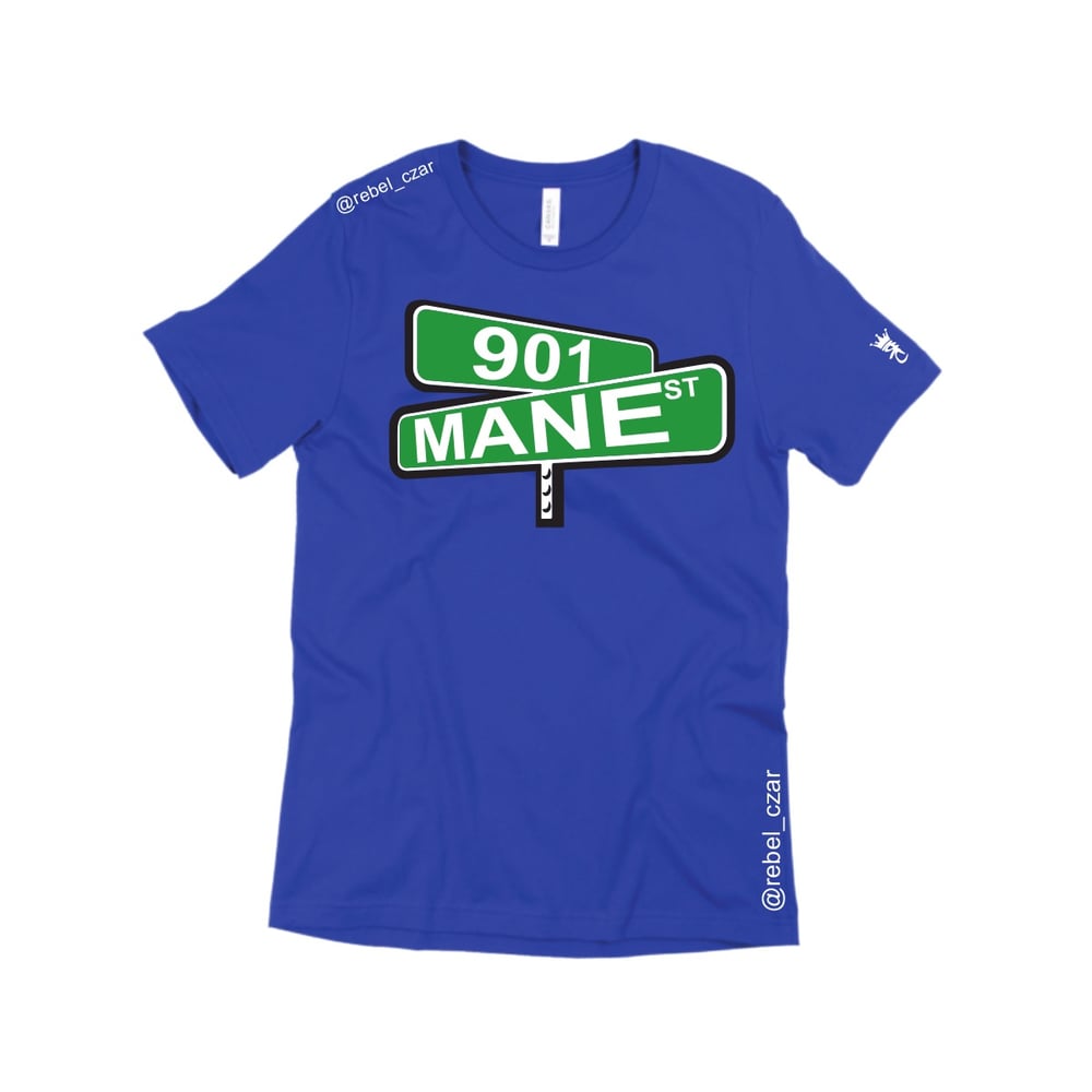 Image of “MANE Street™”