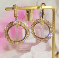 Crystal Double Circle Earrings