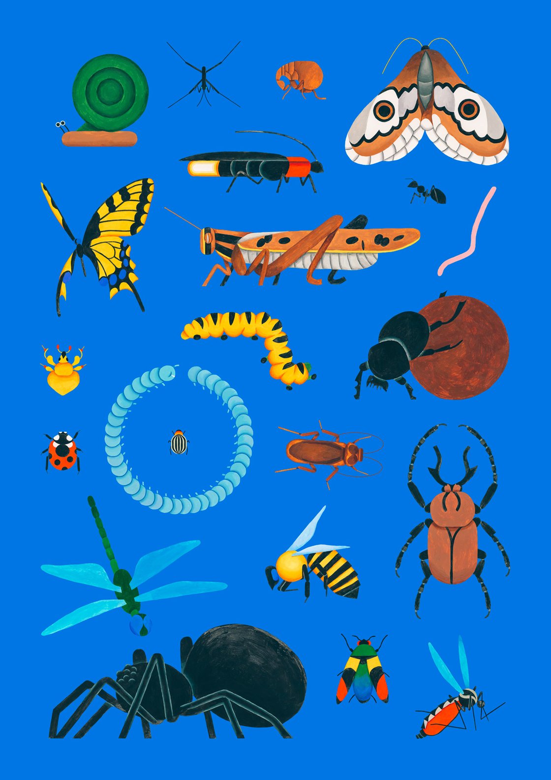Image of Bugs