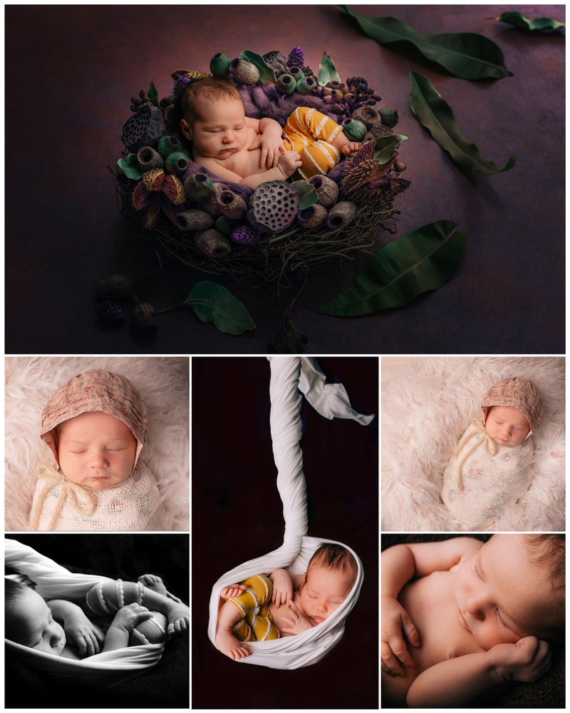 Image of Studio newborn