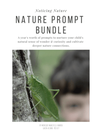 Nature Prompt Bundle (PDF download)