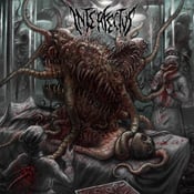 Image of UNETHICAL.../VULGORE/ATROPHIED/INTERFECTUS SPECIAL PACK