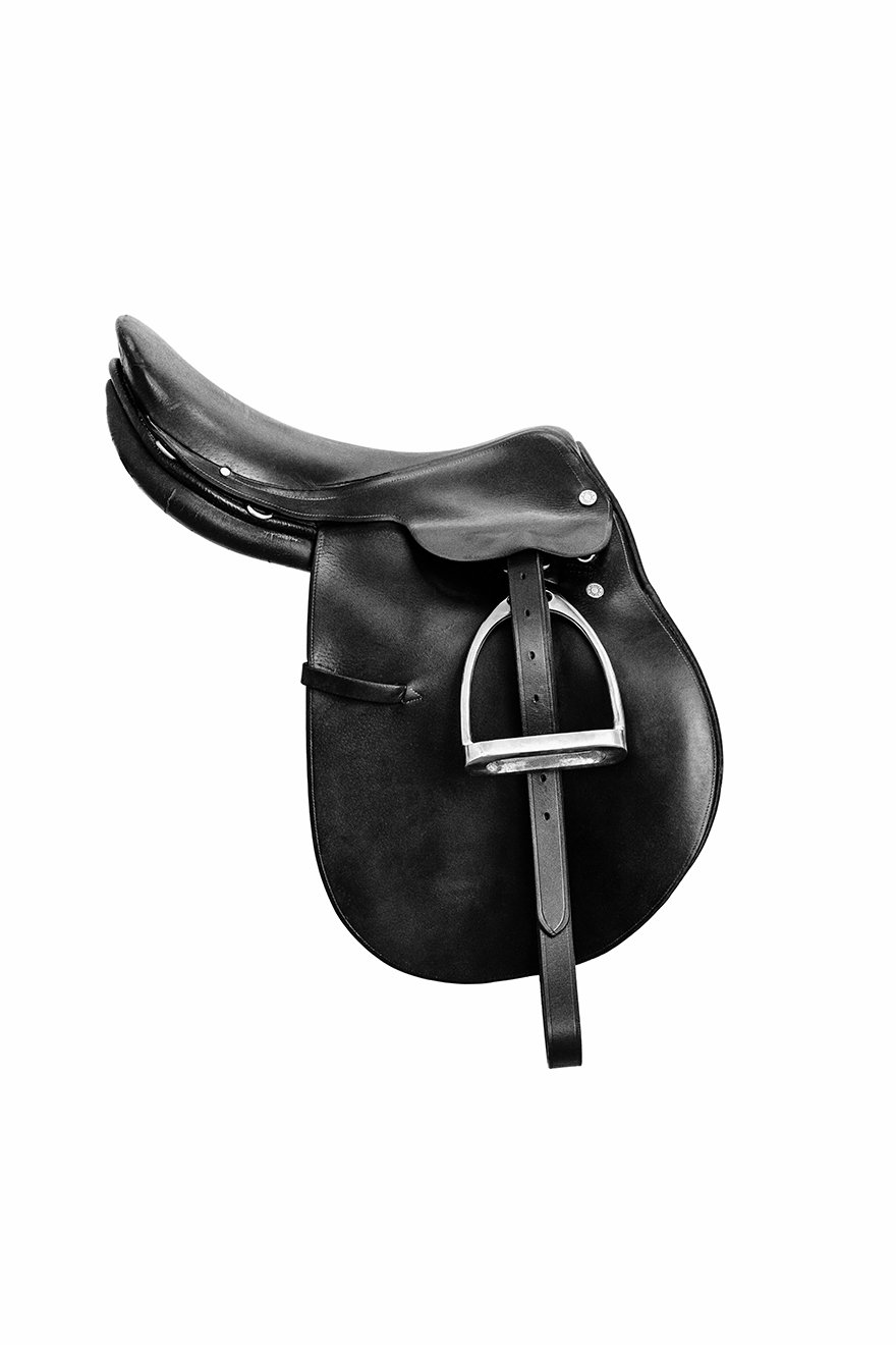 Image of HAROLDS' SADDLE