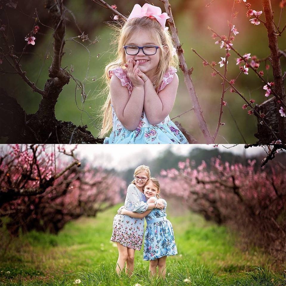 Image of Peach Blossom Mini Sessions