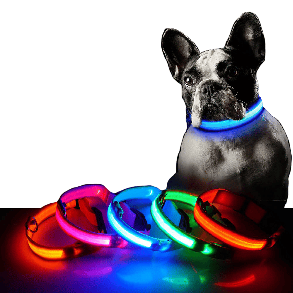 Image of Nylon Led Collar