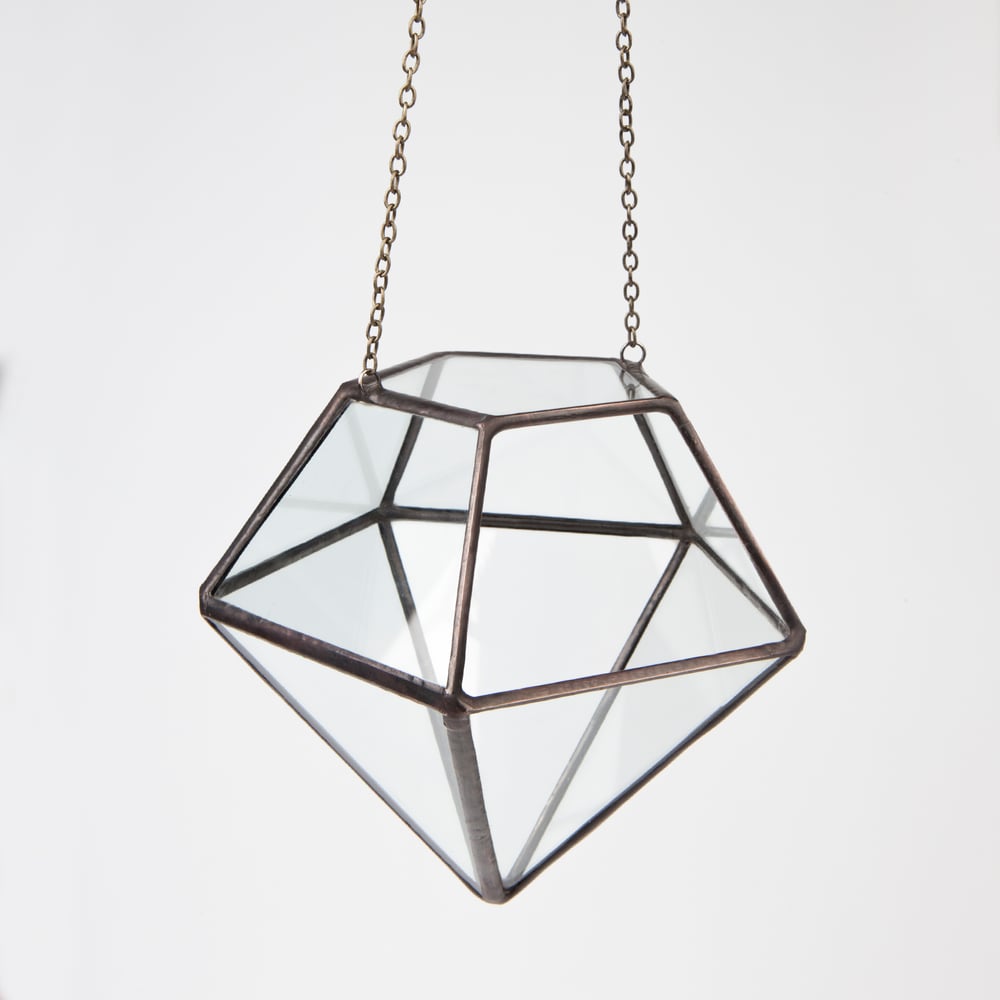 Image of Hanging Diamond Terrarium