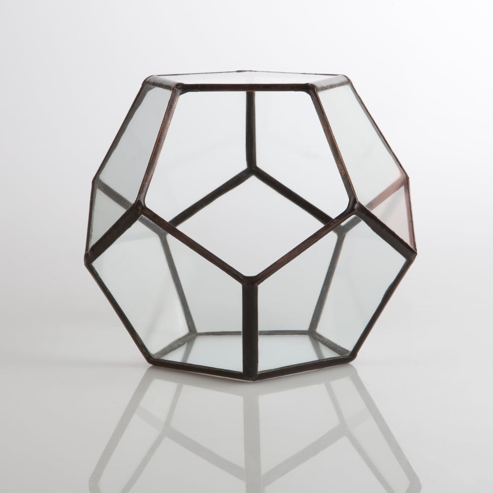 Image of Small Dodecahedron Terrarium