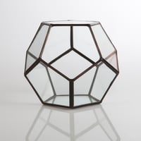 Image 1 of Small Dodecahedron Terrarium