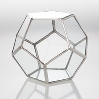 Image 3 of Small Dodecahedron Terrarium